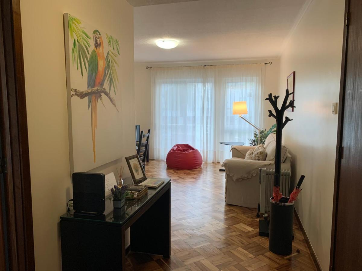 Garden Apartment, Great For Couple - Ponta Delgada Екстер'єр фото